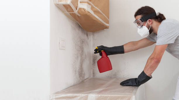 Professional Bathroom Mold Removal technician working in Upper Black Eddy, PA