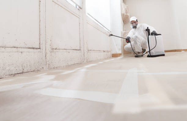 24/7 Emergency Bathroom Mold Removal experts in Upper Black Eddy, PA